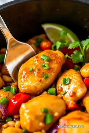 Tex-Mex Chicken Skillet with Hello Fresh Paste presentation