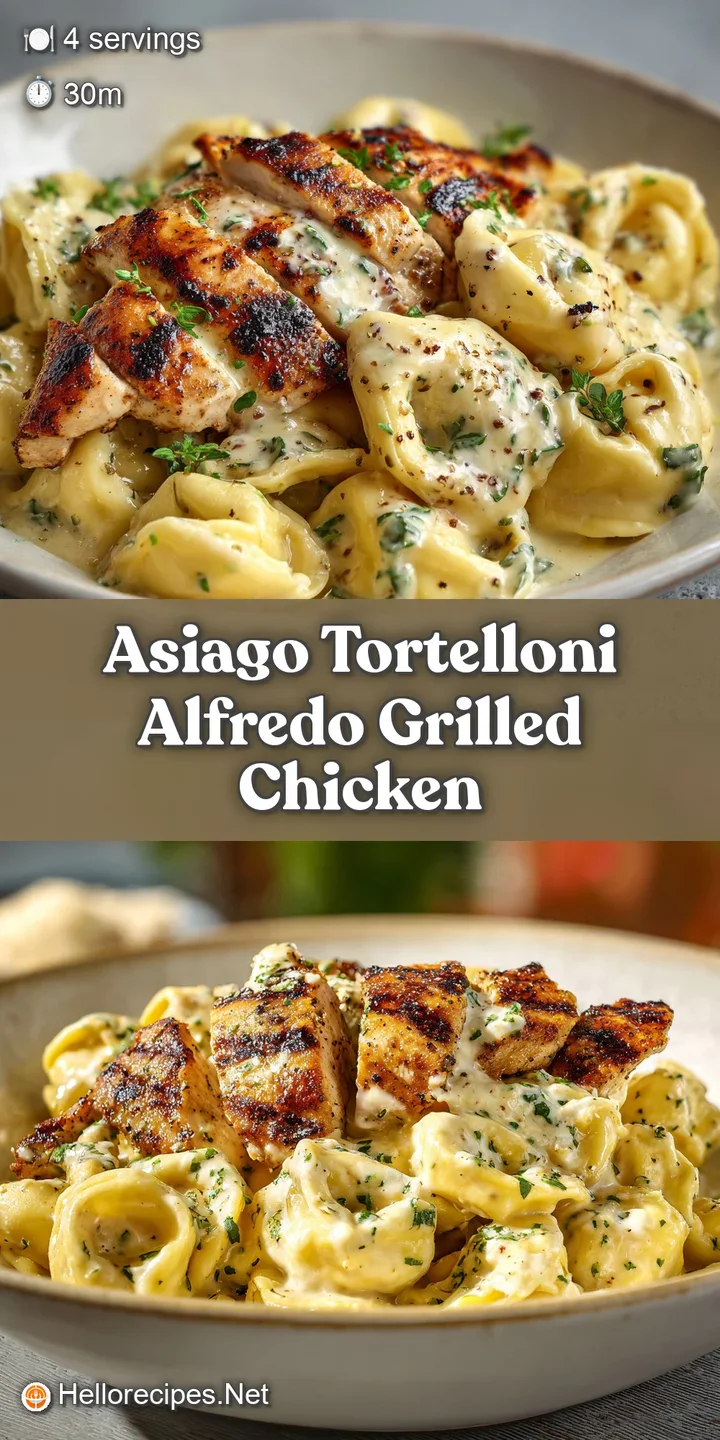 Close-up: Tender grilled chicken and cheese-filled tortelloni in rich Alfredo, glistening with flavorful sauce.